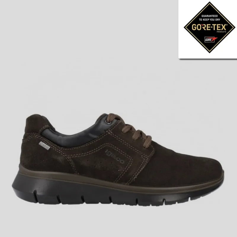 IGI & CO Gore-tex | Zapatos*Blucher Sport Hombre IGI&CO GORE-TEX Ante MARRÓN