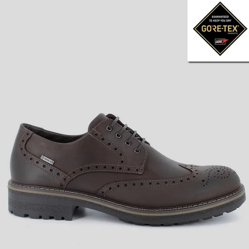 IGI & CO Gore-tex | Zapatos*Inglés Picado IGI&CO GORETEX Nobuk CAFFÉ