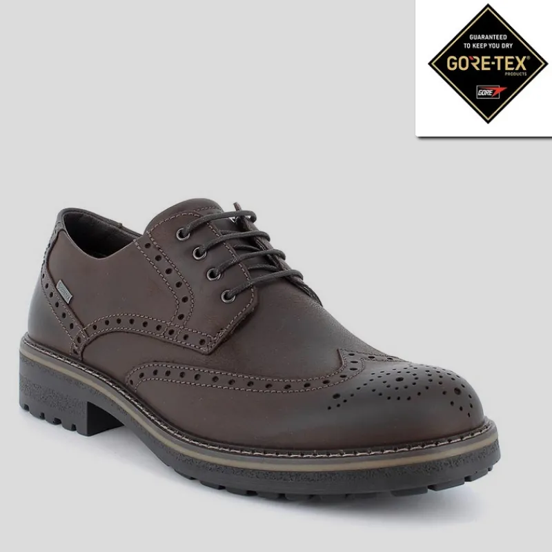 IGI & CO Gore-tex | Zapatos*Inglés Picado IGI&CO GORETEX Nobuk CAFFÉ